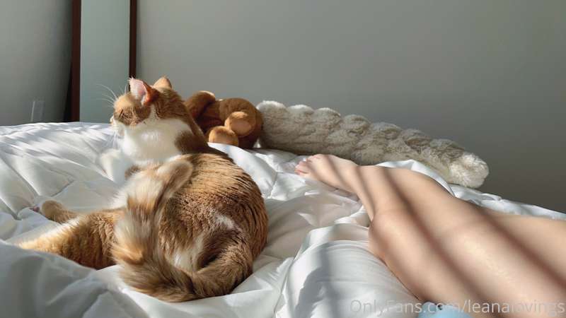 I’m feeling so cozy in bed today 2