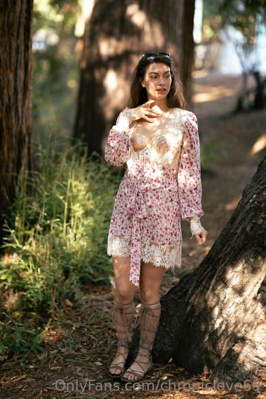 A flower in the Red Woods <3 12
