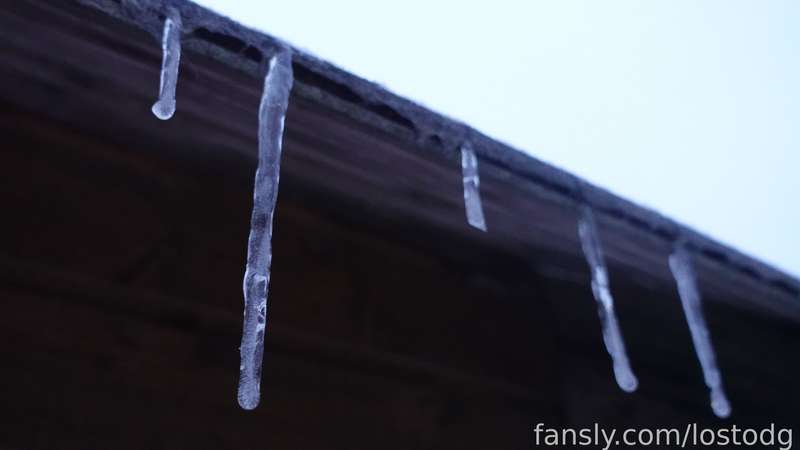 Lostodg - Fansly - 26 Feb, 2023 1