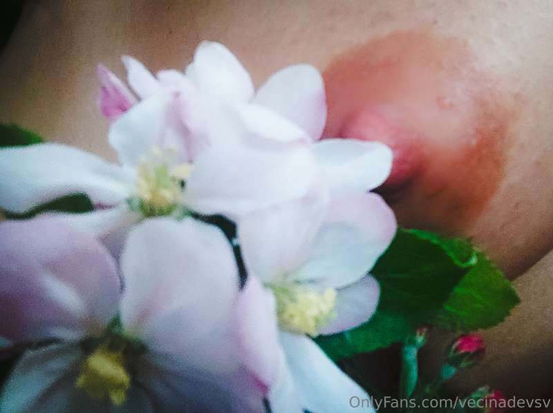 🌸🤍 1