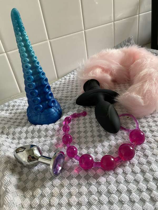 Toy options for my next post 😍 ps; the tail vibrates and wag..