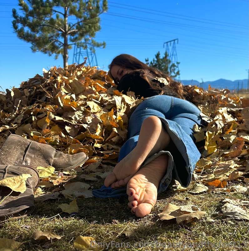 Can you spot cake in the leaves? 🤭 3