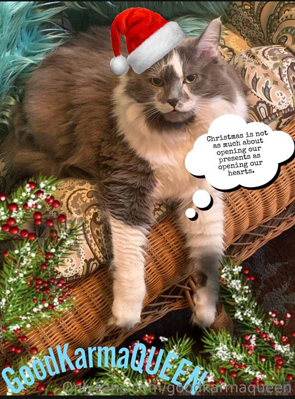 HAPPY CHRISTMAS DAY EVERYONE!!!

Please be good to others!!
..
