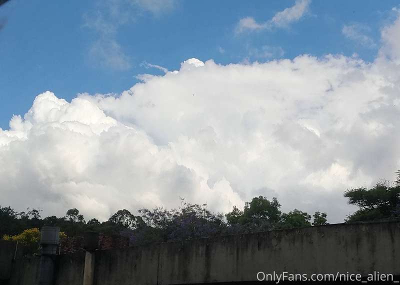 From my window 1