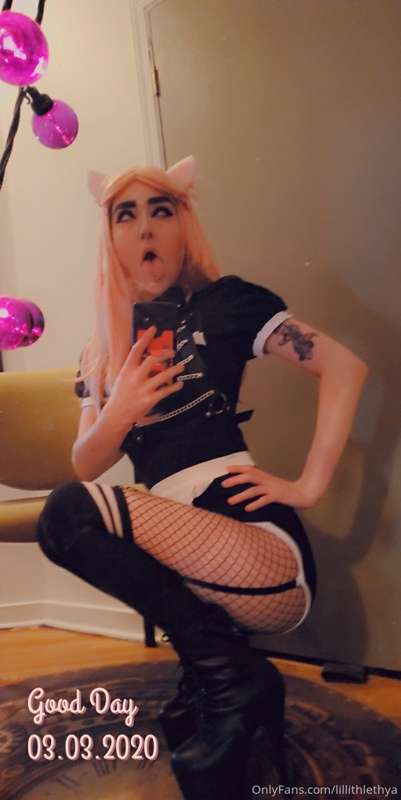 💦 Neko Maid 💦