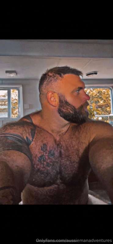 The face, The cock.