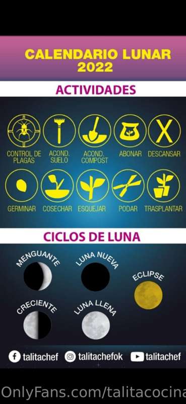 Tu guía lunar semanal para potenciar tus cultivos 👩‍🍳💪🌱♥️ 1