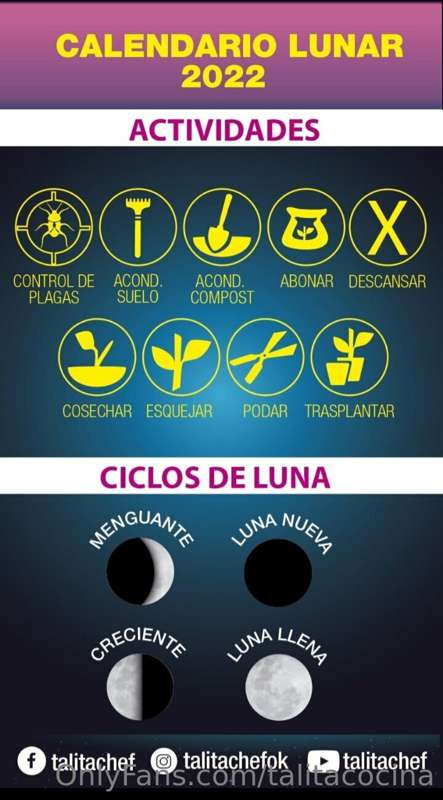 Tu guía lunar semanal para potenciar tus cultivos 👩‍🍳💪🌱♥️
@t.. 2