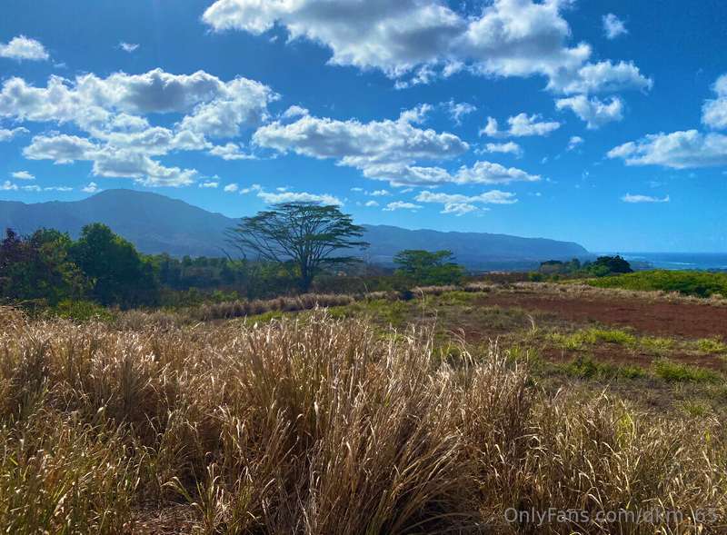 5 hours of ATV’ing through old Sugarcane fields finding (and.. 3