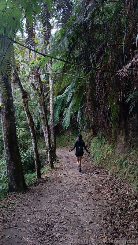 what would you do if you find me walking around in the fores.. 1