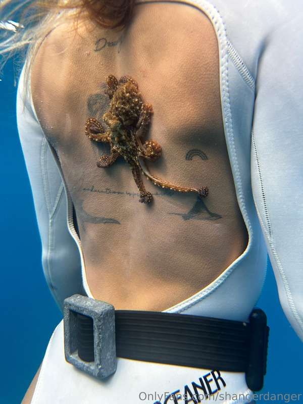I went diving w/ my friend Jil & we found the CUTEST baby oc..