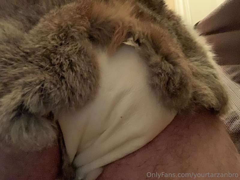 Yourtarzanbro - Onlyfans - 12 Nov, 2024 4