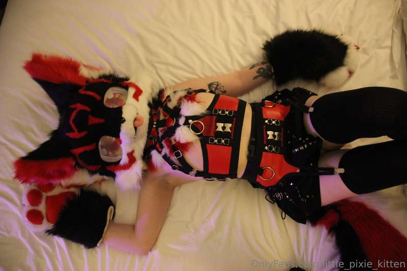 Koji pics in the hotel! ♥️🖤🤍 8