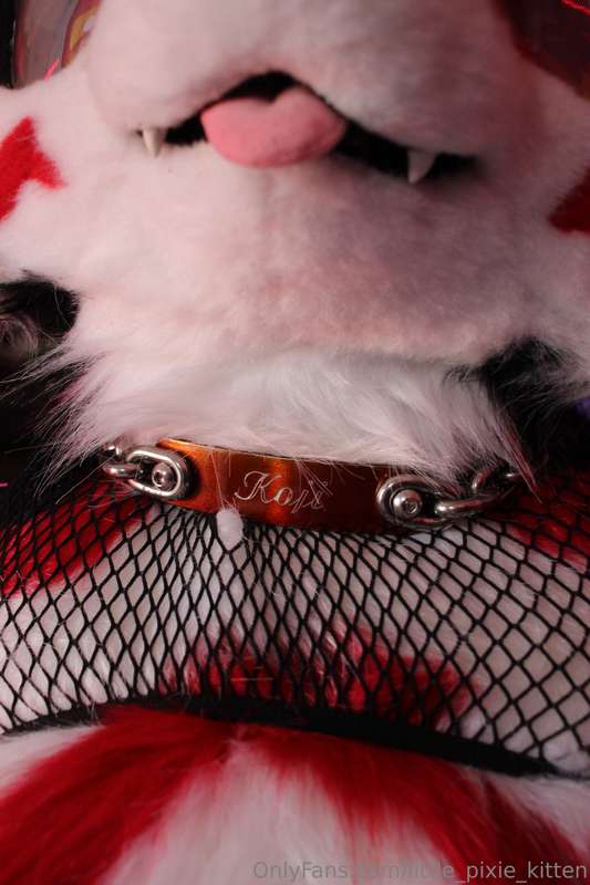 This little collar locks me in my fursuit, I physically cann.. 1
