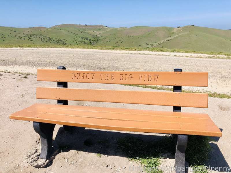 You heard the bench! 2