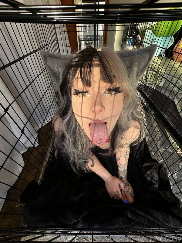 Blxxdbunny - Onlyfans - 22 Jan, 2025 5