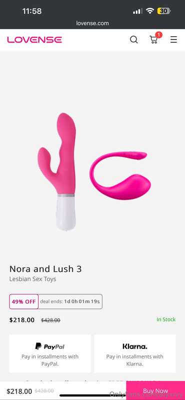 Which one should I get for someone to control? 😏💕  OR~ if so..
