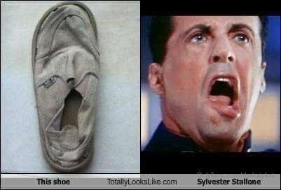 Meme of the Day!