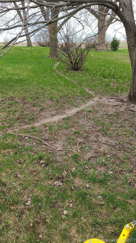 Deer are creatures of habit and will follow the same path ev..