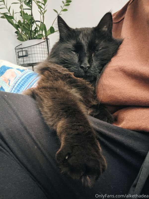 As requested, a comfy Cosmo!