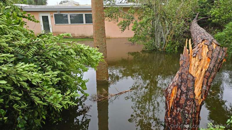 Things went well during the hurricane. I stayed home. Winds .. 2