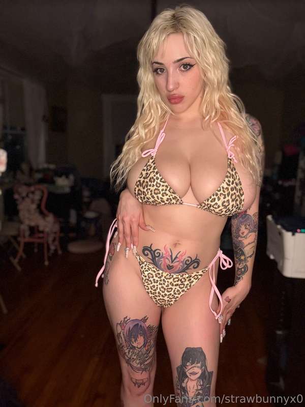 Let’s get wild 🐆