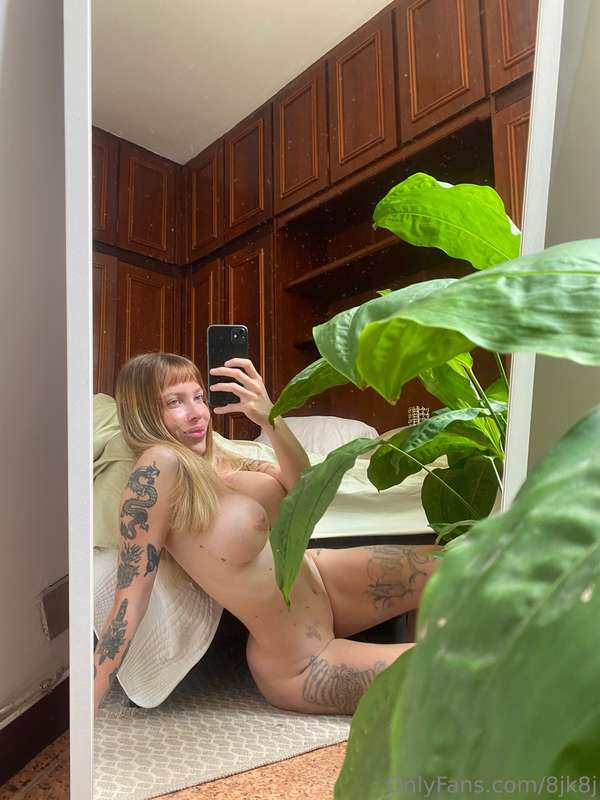 🌴🌲🍀🌲🍀🌲🌲 4