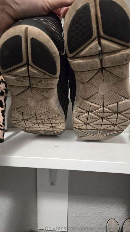 Ask prices include shipping. Priority mail. Ship in the US o.. 14