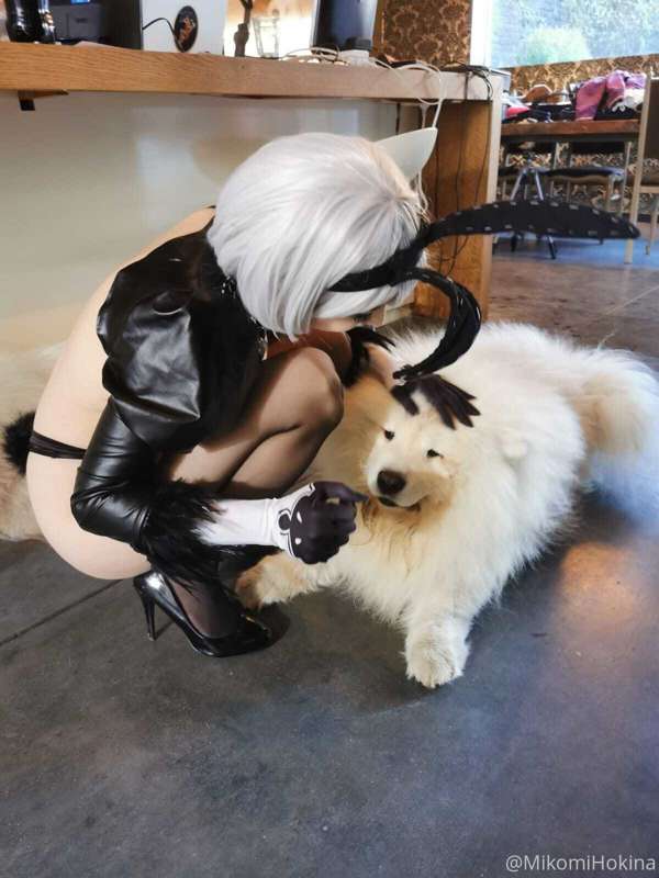 I don't think the doggo liked it that much .--.