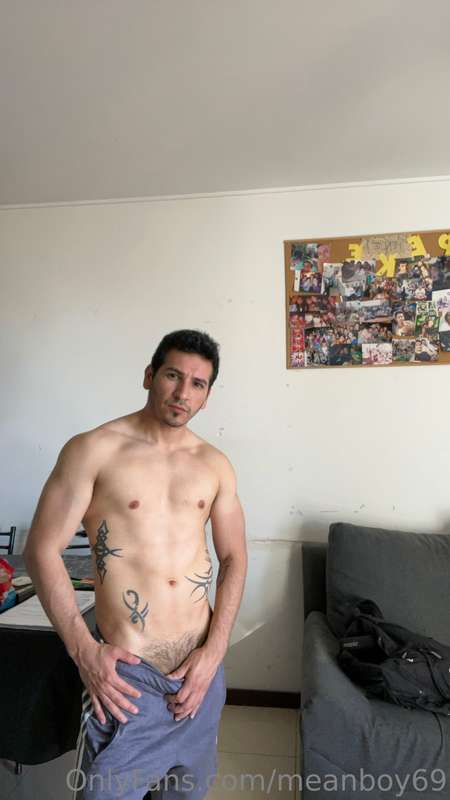 Just Borring pictures