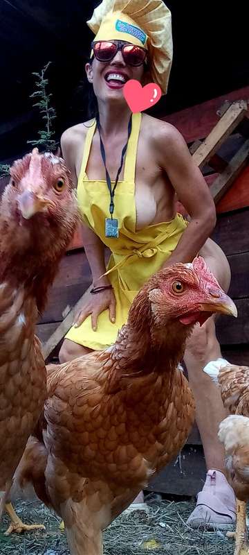 Mis amigas las Gallinas 🐓🐓🐓🐥🐤🐣#lagranjadetalita👩‍🍳❤️ 7