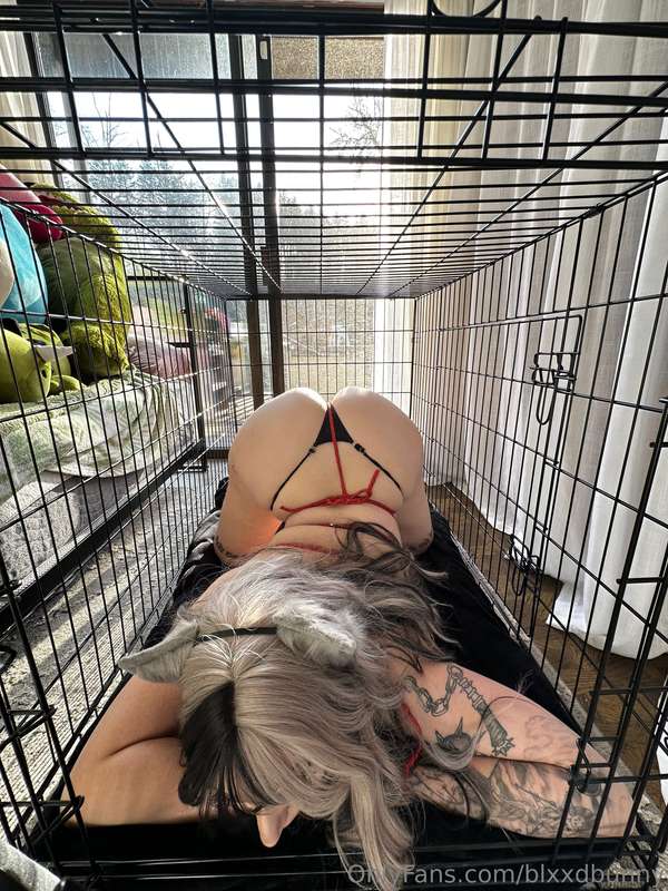 Blxxdbunny - Onlyfans - 22 Jan, 2025 5