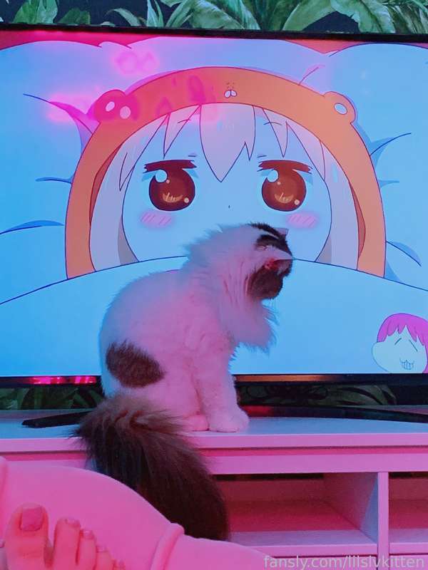 Lilslvkitten - Fansly - 02 May, 2022 1