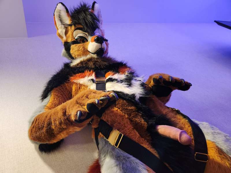Rogue harness pictures, part 2!  🤎🧡🖤 6