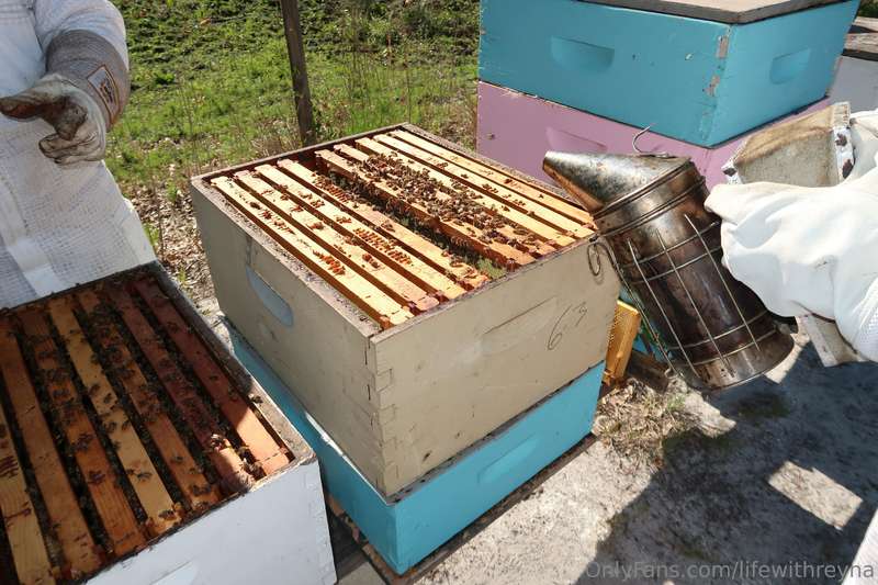Went Bee keeping this past weekend 😫🐝😳 can’t wait to show yo.. 2