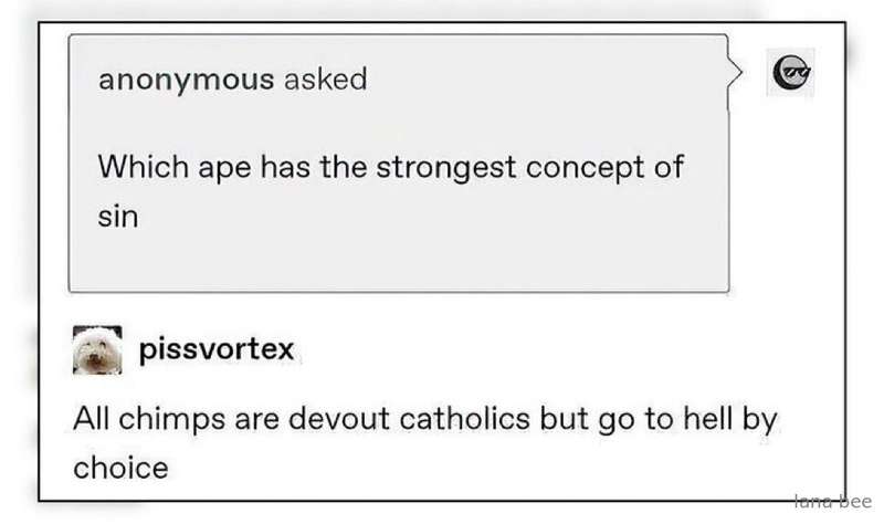 Meme dump :3 16