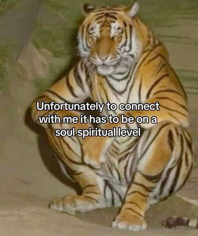 Meming on both pages, here and @sushk420 