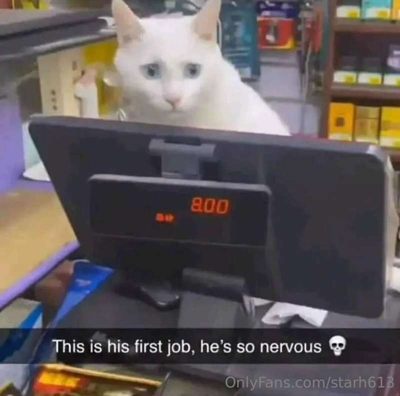 It's been a pretty slow meme week lmao 8