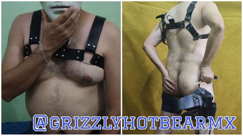🐻 𝘎𝘳𝘪𝘻𝘻𝘭𝘺 𝘏𝘰𝘵 𝘉𝘦𝘢𝘳 𝘔𝘹🐻🐻ǤRĪẔẔĿ￥ ĦØƚ ßЄÂR ♏️X 🐻🐻 𝘎𝘳𝘪𝘻𝘻𝘭𝘺 𝘏𝘰𝘵 𝘉..
