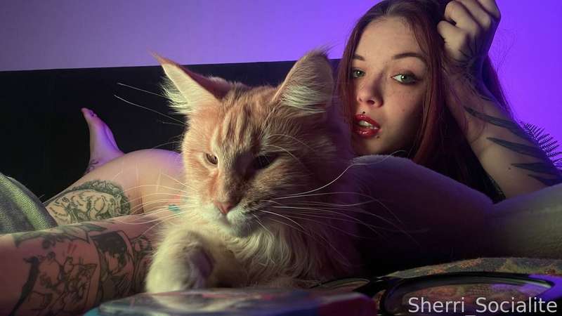 Sherri_Socialite - Fansly - 26 Jan, 2025 1