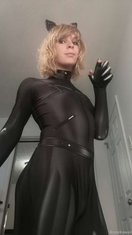 cat noir set 1/4 x :3 30