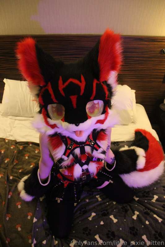 Koji pics in the hotel! ♥️🖤🤍 1