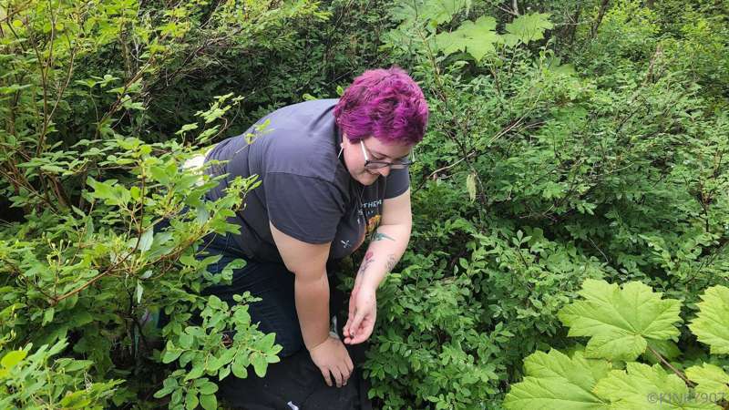 I did the nature-ing thing today. Picked blueberries, found ..