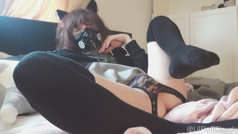 Yr pet catboi wants attention ~ 1