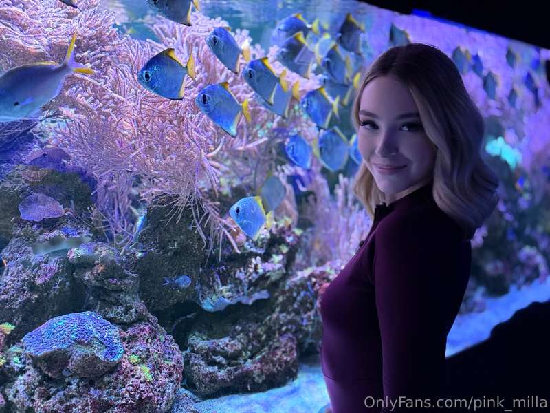 Have you ever thought about how amazing the underwater world..