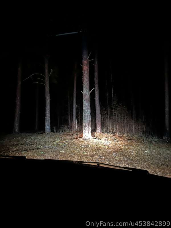 A nighttime picnic with my friend. I’m so glad I didn’t eat .. 5