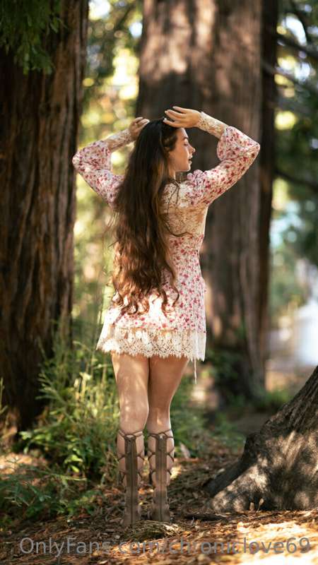 A flower in the Red Woods <3