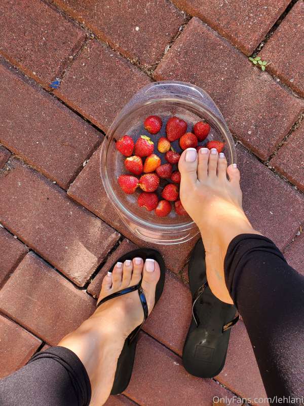 Making strawberry wine from handpicked berries ♡ this has be.. 3