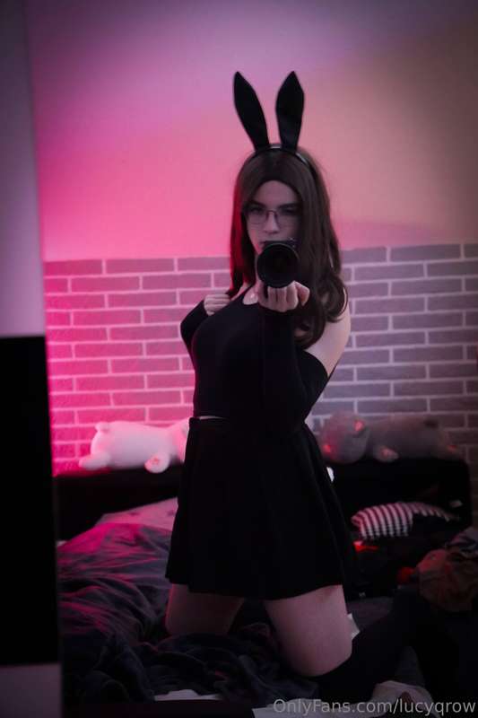 your favourite bunny :3 1
