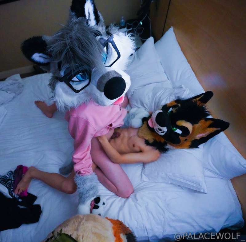 You think this wolf is ready to prepared to take both Ringer..